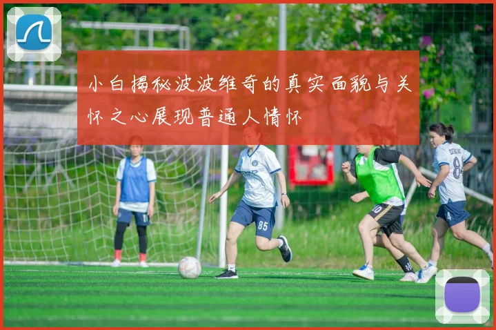小白揭秘波波维奇的真实面貌与关怀之心展现普通人情怀
